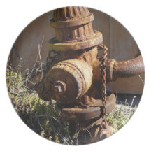 Roestige Hydrant Diner Borden