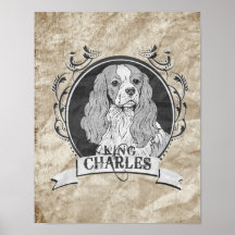 ROI CHARLES (2) AFFICHES
