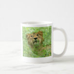 roi de la tasse de jungle