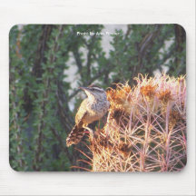 Roitelet de cactus tapis de souris