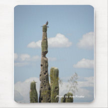 Roitelet de tapis de souris/cactus placé sur le Sa