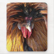 Roo polonais tapis de souris