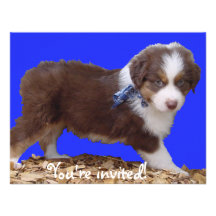 Rood TriPuppy Aussie Uitnodigingen
