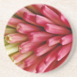 Roodgloeiende pook, close-upbloemen drinken onderzetter