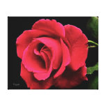 ROSALEE (Bloemen - kies Uw Grootte) Stretched Canvas Afdrukken