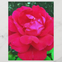 Rose#2 Prospectus
