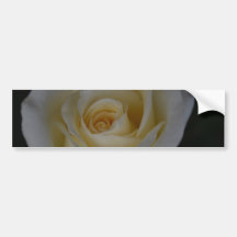 Rose blanc et signification adhésifs pour voiture