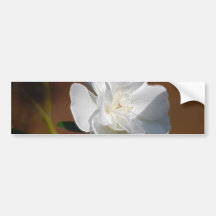 Rose blanc et signification autocollants pour voiture