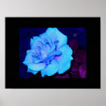 Rose de bleu poster