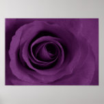 rose de pourpre d'affiche d'Etsy