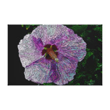 Rose de Sharon Toile Tendue Sur Châssis
