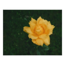 Rose jaune invitation personnalisable
