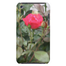 rose rouge coque iPod Case-Mate 