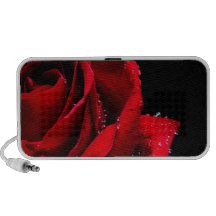 Rose rouge haut-parleur ordinateur portable