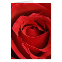 Rose Valentine romantique de géant Carte De Vœux