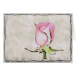 Rosebud van de waterverf kaart