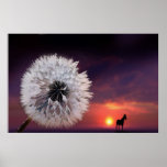 Rosée de lever de soleil posters
