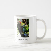Rosella oriental mug à café