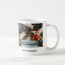 Rosellas oriental tasse