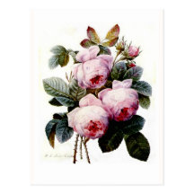 Roses Cartes Postales