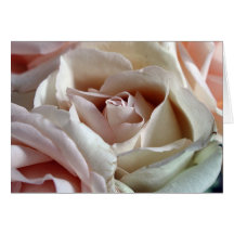 Roses intimes cartes