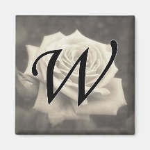 Roses roses dans Anzures 4 Antiqued Aimant