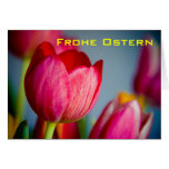 Rote Tulpen • Osterkarte Wenskaarten