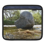 Rots in Water iPad Sleeves