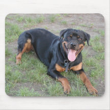 Rottweiler Tapis De Souris