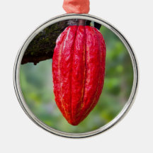 rouge de cosse de cacao décorations pour sapins de noël