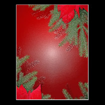 Rouge de poinsettia de Noël cartes postales