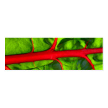 rouge pour la passion et vert pour le signet d'esp cartes de visite personnelles