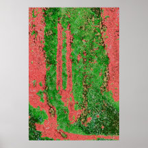 roughtreesdifcanvasartb-cannette de fil b322 posters