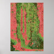 roughtreesdifcanvasartb-cannette de fil b324 posters