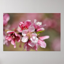 Roze Bloem Print