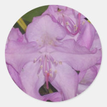 Roze Bloem Stickers