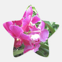 Roze bloemen op rijk groen stervormige sticker