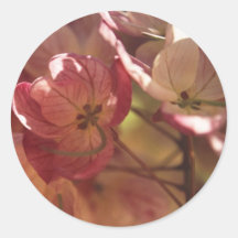 roze bloemen ronde stickers