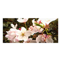 Roze Bos Reclamekaart Sjabloon