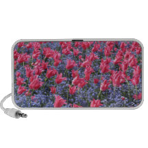 Roze en paars bloemgebied PC speakers