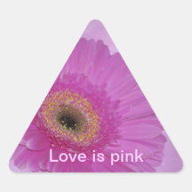 Roze en paarse Gerber Daisy Sticker