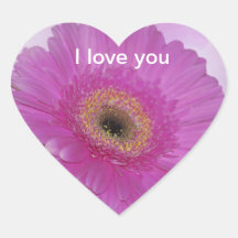 Roze en paarse Gerber Daisy Sticker