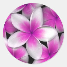 roze frangipani sticker
