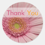 Roze Gerbera • Dank u Sticker