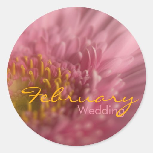 Roze Gerbera • De Sticker van het Huwelijk van feb
