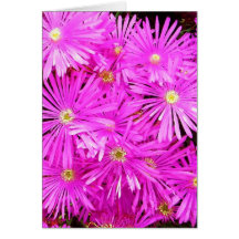 roze kaart