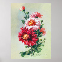 Roze Mums door Klein Poster posters