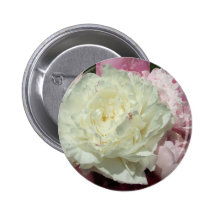 Roze Pioenen/Roze Pioen Speldbuttons