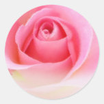Roze rosebud stickers