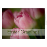 Roze Tulpen • Het Wenskaart van Pasen